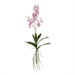 Vickerman 30.5