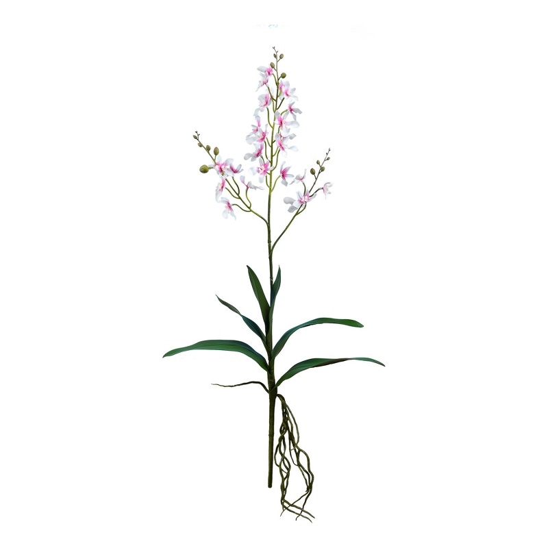 Vickerman 30.5