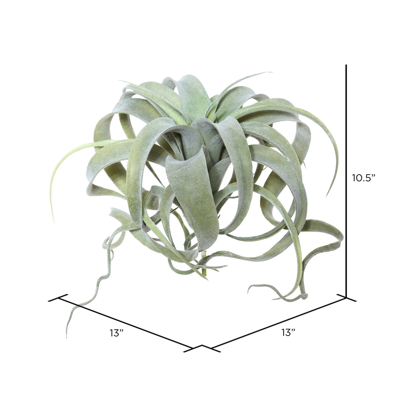 Vickerman 10.5