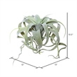 Vickerman 10.5
