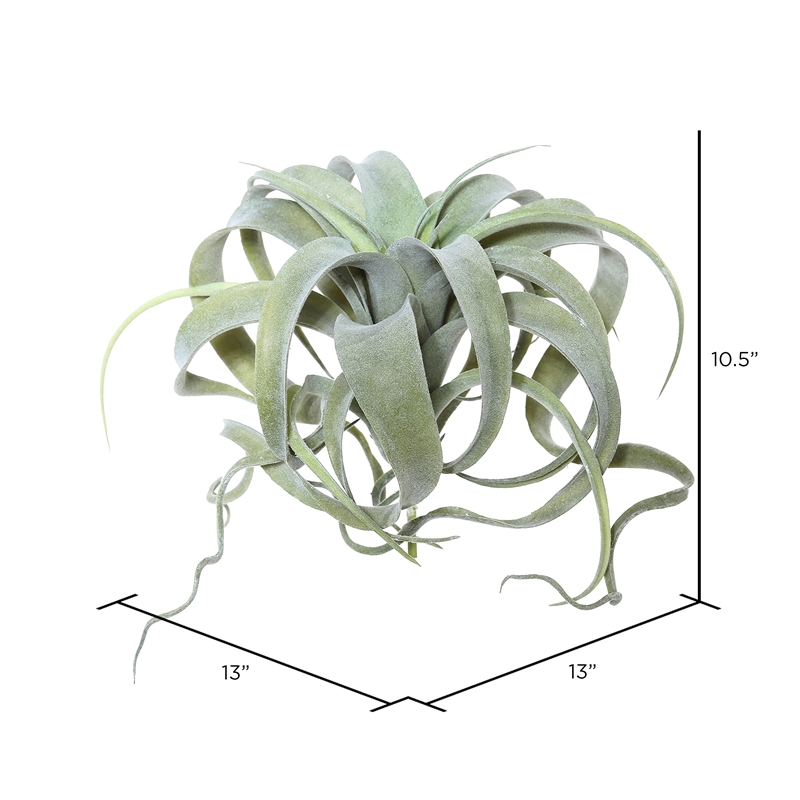 Vickerman 10.5