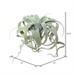 Vickerman 10.5