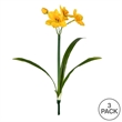 Vickerman 13