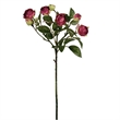 Vickerman 20.5