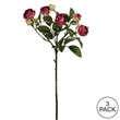 Vickerman 20.5