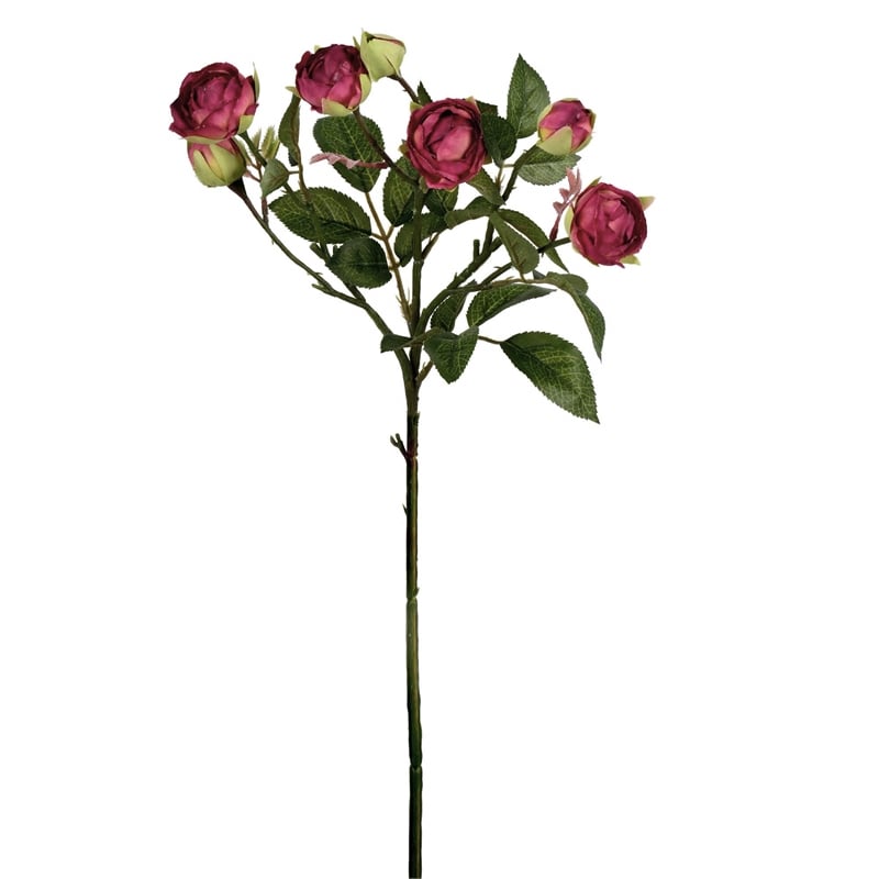 Vickerman 20.5