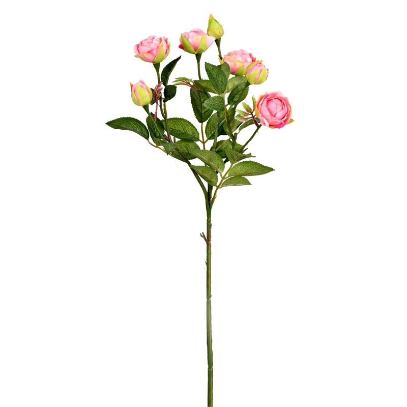 Vickerman 20.5