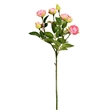 Vickerman 20.5