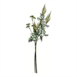 Vickerman 26