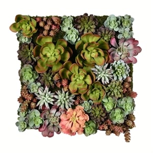 Vickerman 16.5&quot Artificial Succulent Wall Arrangement in Multi-Color