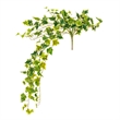 Vickerman 34