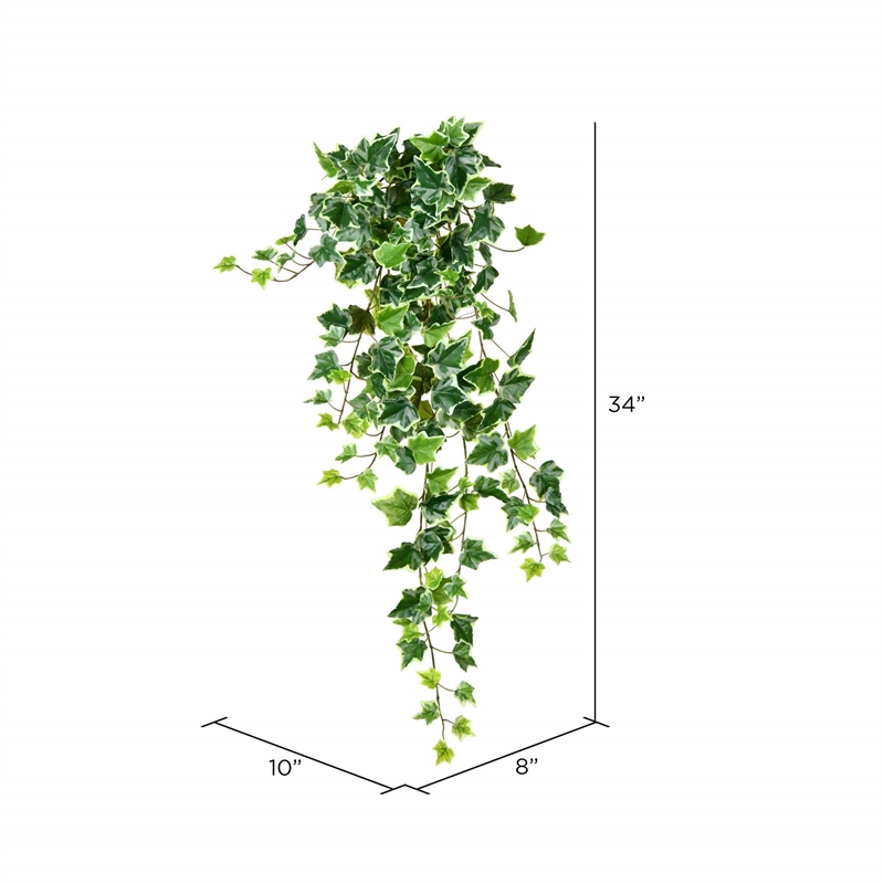 Vickerman 34