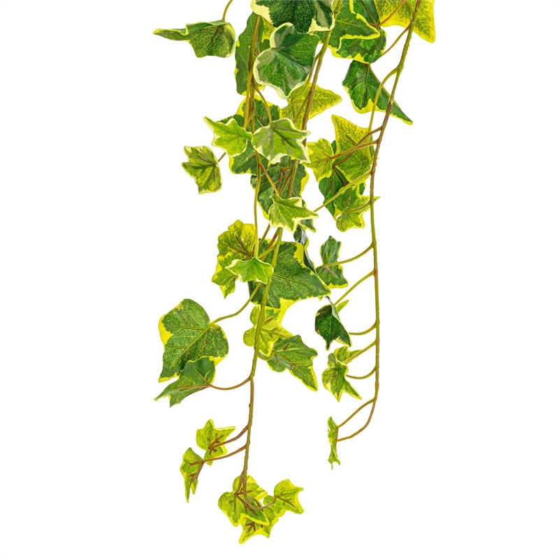 Vickerman 34