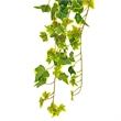 Vickerman 34