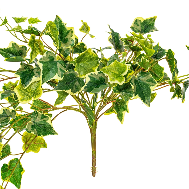 Vickerman 34