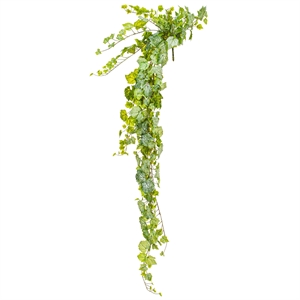 Vickerman 6' Fabric Artificial Grape Leaf Ivy Hanging Bush in Green/White