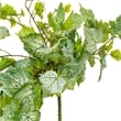 Vickerman 6' Fabric Artificial Grape Leaf Ivy Hanging Bush in Green/White