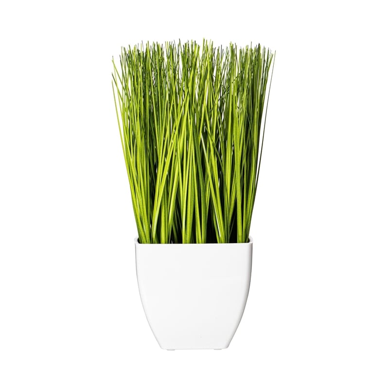 Vickerman 11.5