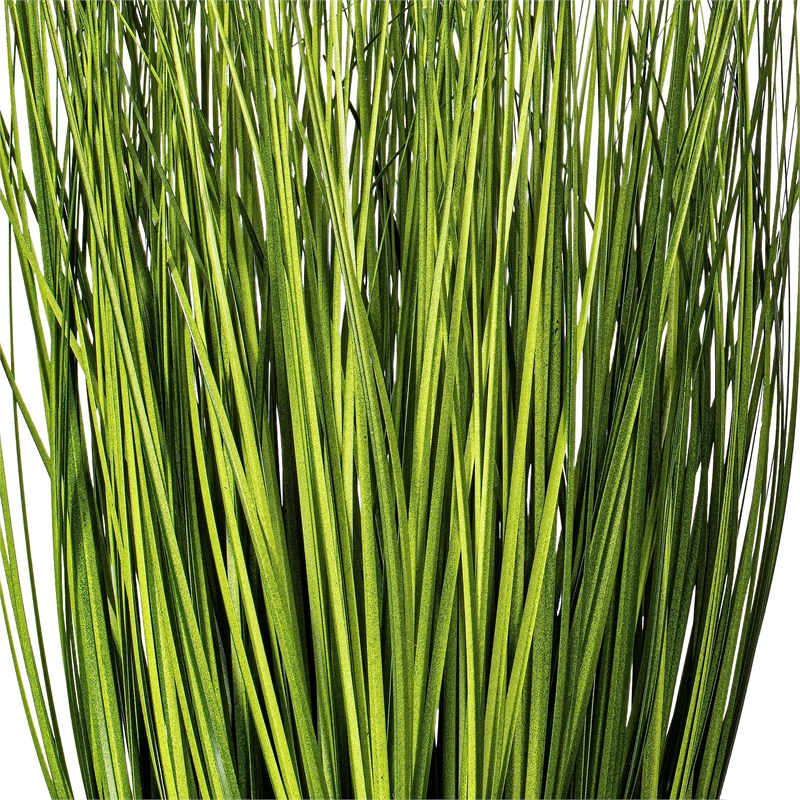 Vickerman 11.5