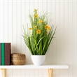 Vickerman 22.5