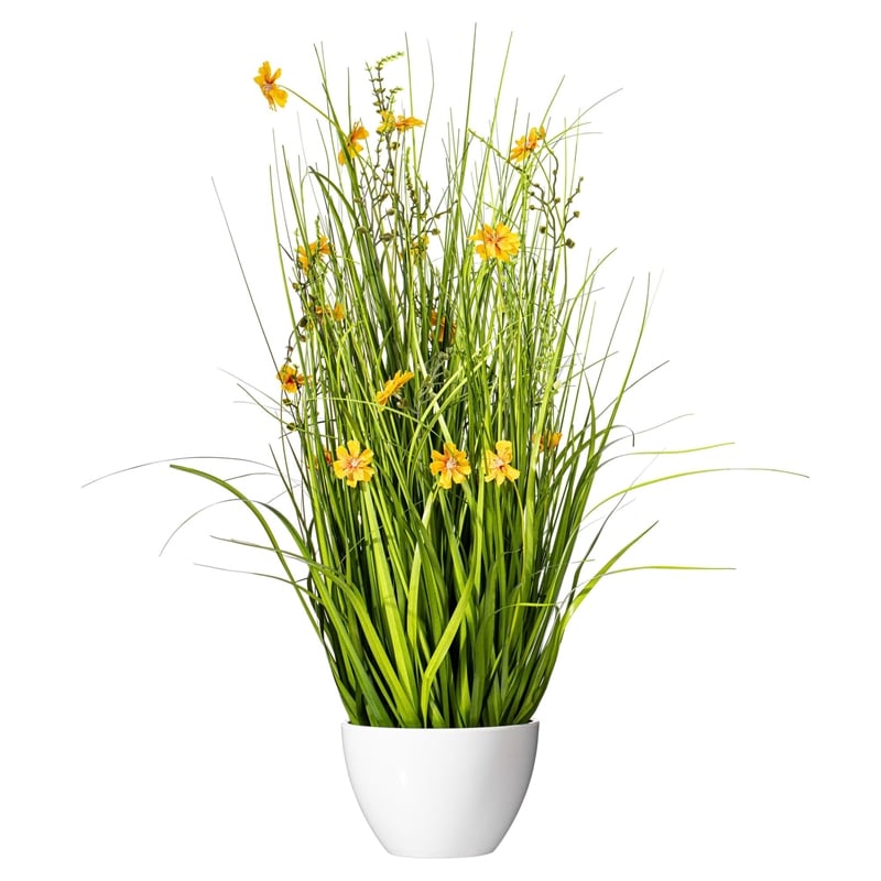 Vickerman 31
