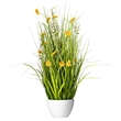 Vickerman 31