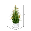 Vickerman 31