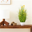 Vickerman 31