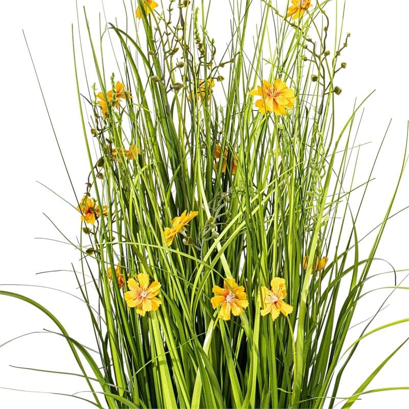 Vickerman 31