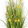 Vickerman 31