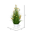 Vickerman 31