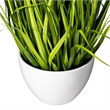Vickerman 31