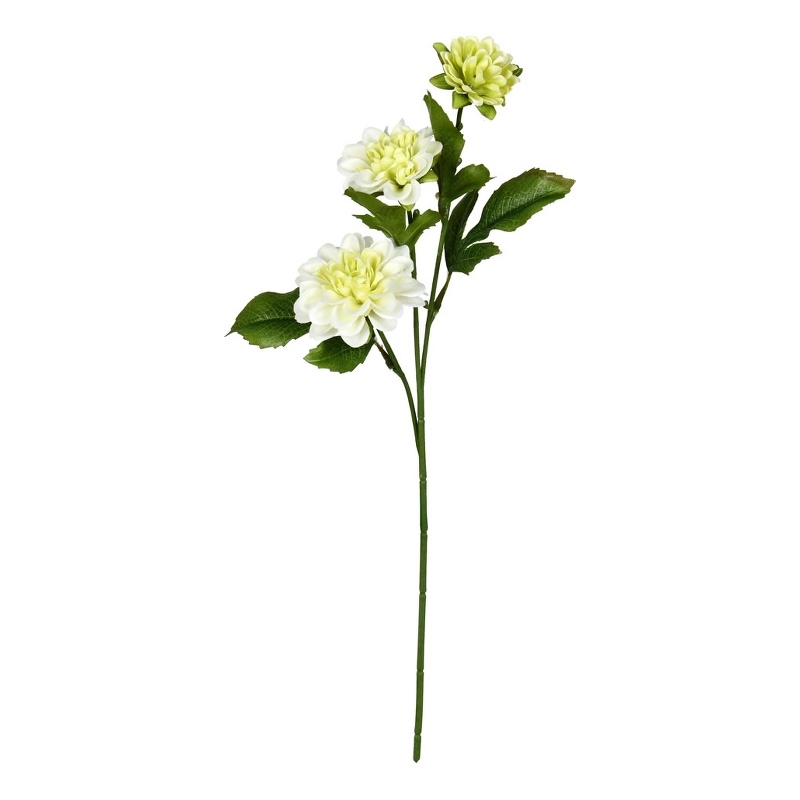 Vickerman 17