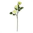 Vickerman 17
