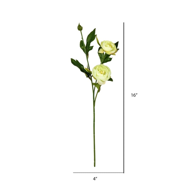 Vickerman 16
