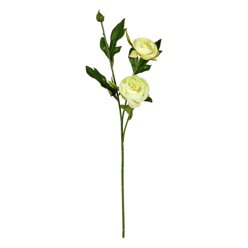 Vickerman 16