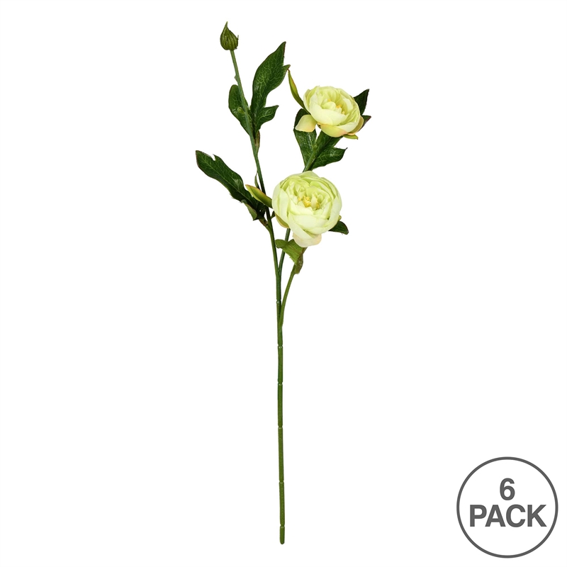 Vickerman 16