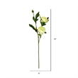 Vickerman 16