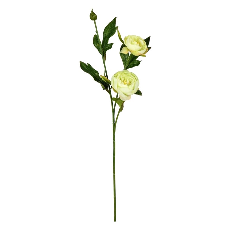 Vickerman 16