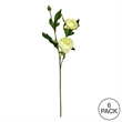 Vickerman 16