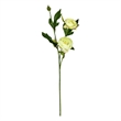 Vickerman 16