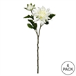 Vickerman 17