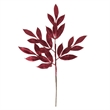 Vickerman Bay Leaf Artificial Christmas Spray in Burgundy Red (Set of 12)