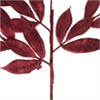 Vickerman Bay Leaf Artificial Christmas Spray in Burgundy Red (Set of 12)