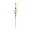 Vickerman 32