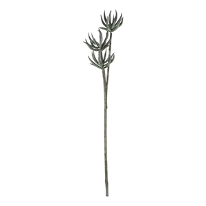 Vickerman 24&quot Contemporary Plastic Artificial Aloe Spray in Green (Set of 6)