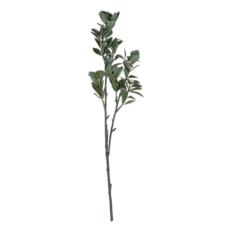 Vickerman 20