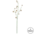 Vickerman 31