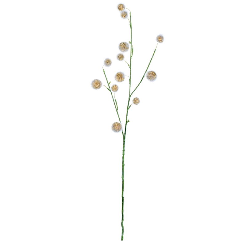 Vickerman 31
