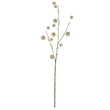 Vickerman 31